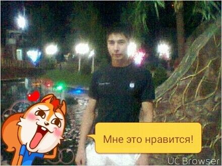  ,   Max, 37 ,   