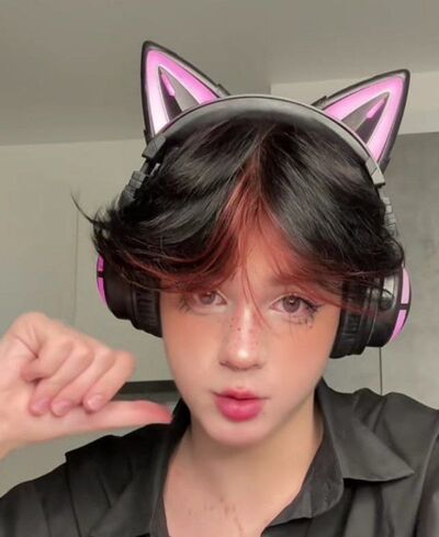  ,   ˸, 19 ,   ,   