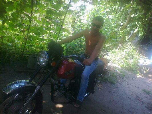  ,   Koha, 36 ,   