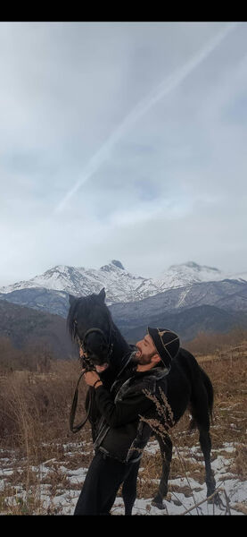  ,   Giorgi, 0 ,   ,   