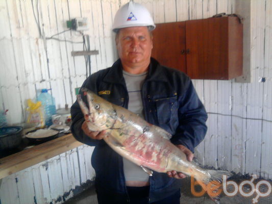  ,   , 58 ,   