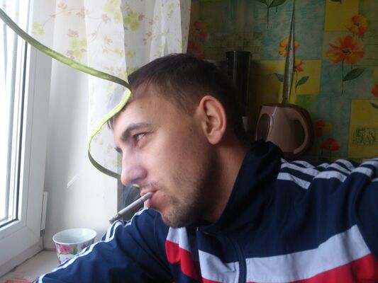  ,   , 38 ,   ,   