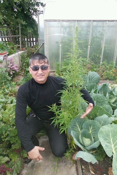  -,   , 50 ,   ,   , c , 