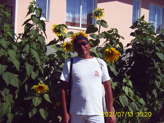  ,   Medved, 59 ,   ,   , c 