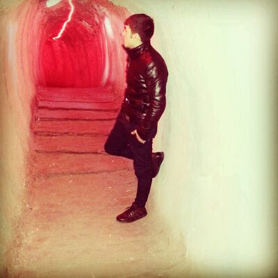  ,   CaviD, 33 ,   ,   , c 