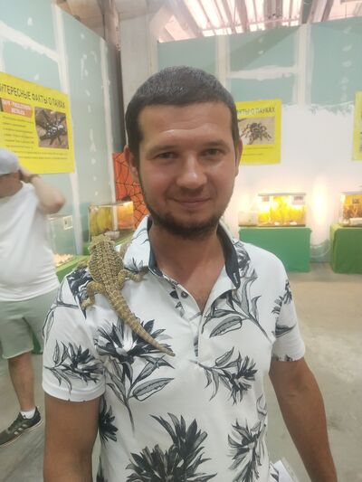  Warszawa,   , 37 ,   ,   