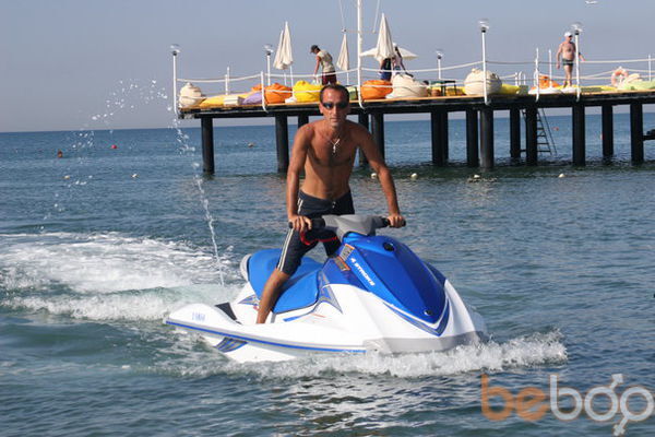  ,   WOLF, 43 ,   ,   , c , 