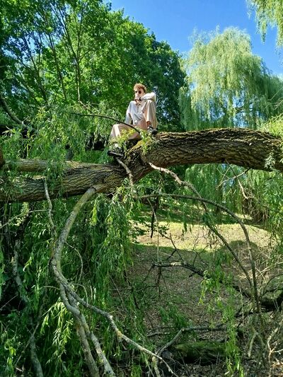  ,   Bydefexp, 24 ,   ,   