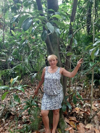  ,   , 51 ,   ,   , c , 