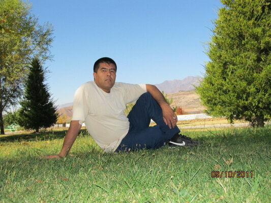  ,   , 43 ,  