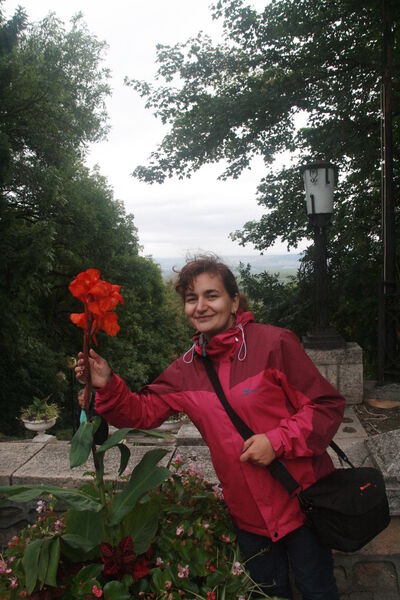  ,   , 45 ,   ,   , c 