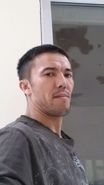  ,    , 41 ,   
