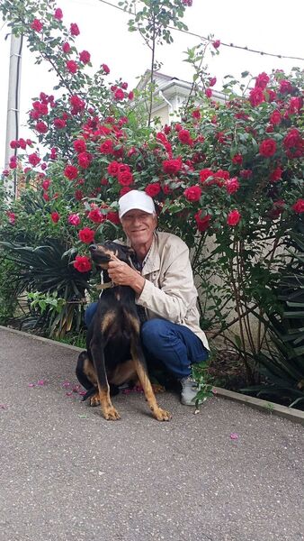  ,   , 59 ,     , c , 