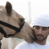   Hamdan sheik