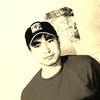   Tagdyr
