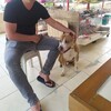   Serkan