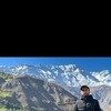   Alim