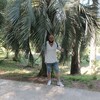  Roissy-en-Brie,  , 31