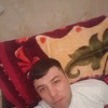   habib