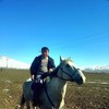   Shavkat