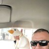  ,  , 44