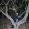   Armen