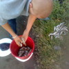  ,  vova, 31