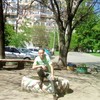   ayaz