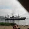   Borya