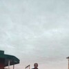  ,  , 36
