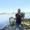   Dimonchik