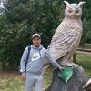   Dima
