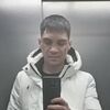   Zaur