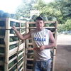  Albignasego,  , 41
