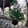  ,  Zakir, 40