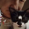 Marton,  Dominik, 53