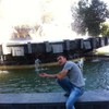   Dima