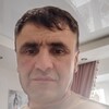   Saib